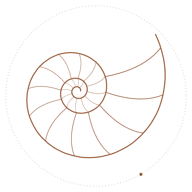 Espiral